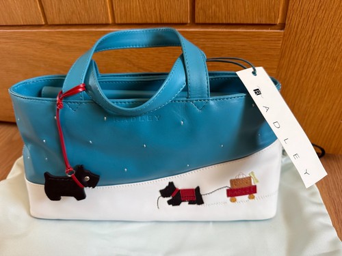 Rare radley explorer - explorer, 2004