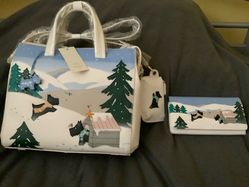 Radley home the snow - in,